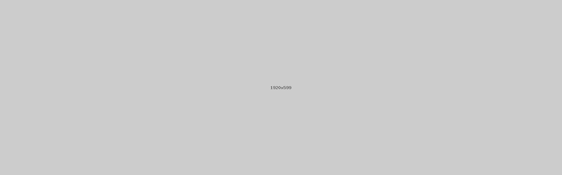 Let's Build Your Website